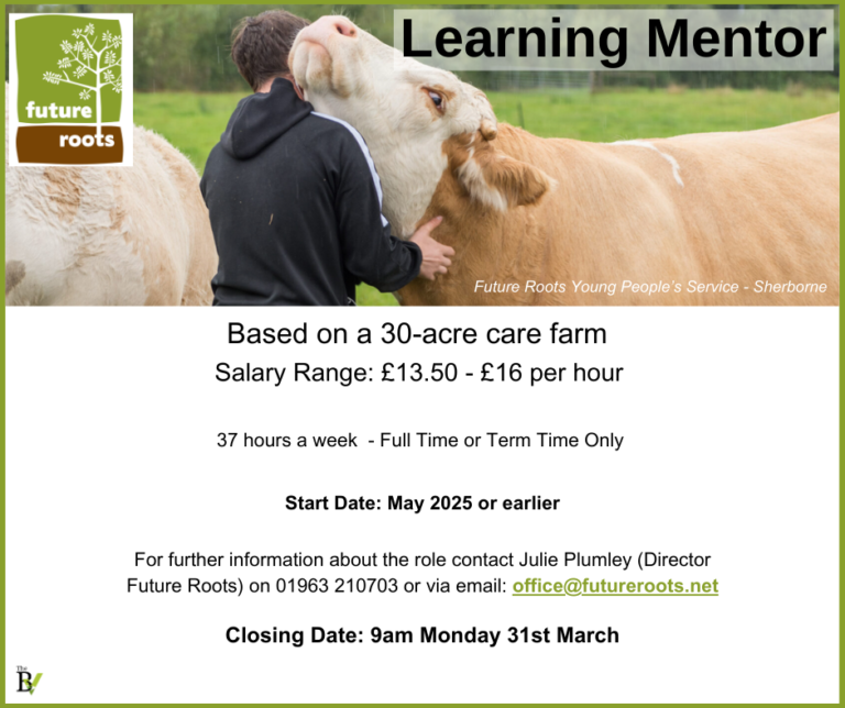 Learning Mentor required by Future Roots