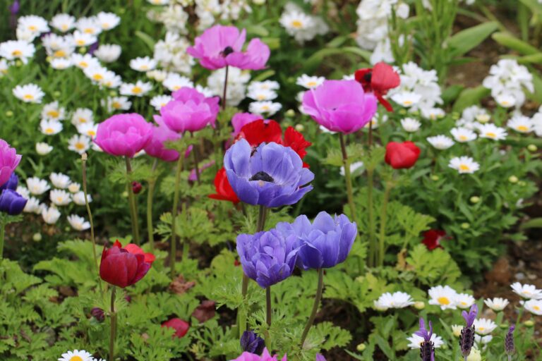 March in the garden