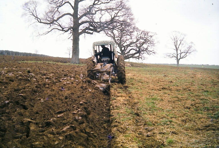 Frustrating times for Rawston Farm