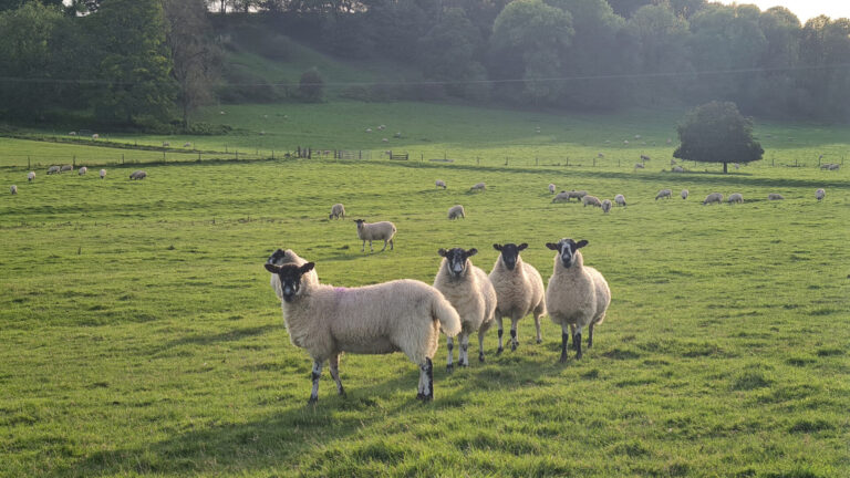 Helping hands for farming families