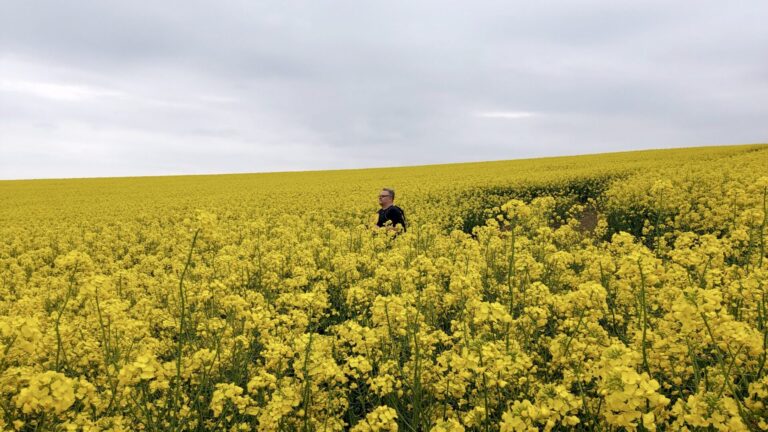Gentle hike with quiet country lanes round Dewlish