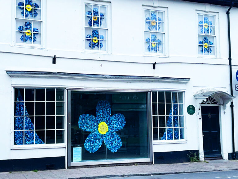 Over 9,000 knitted flowers transform the Museum of East Dorset for Dementia Awareness Week