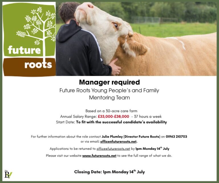 Manager required Future Roots Young People’s and Family Mentoring Team
