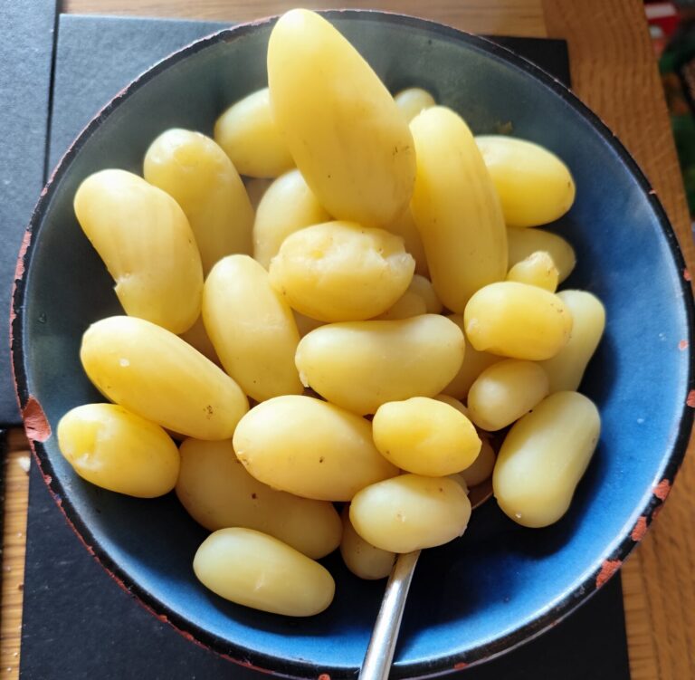 May diary 2025 | The Voice of the Allotment