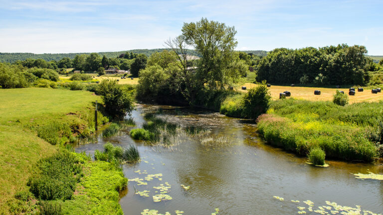 Carbon offsets: a distant dad’s apology