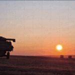 The BV puzzles July 25