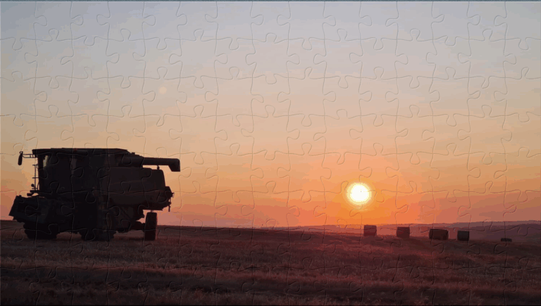 The BV puzzles July 25