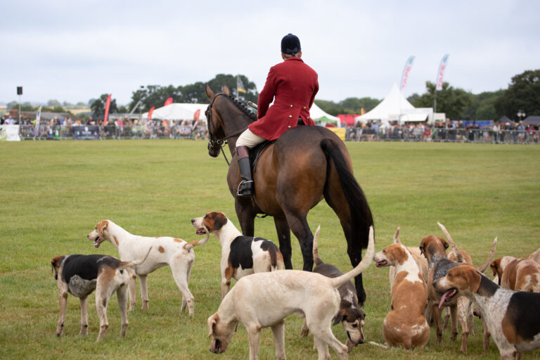 Gillingham & Shaftesbury Show asks Hunts to sit out 2025 parade in wake of convictions