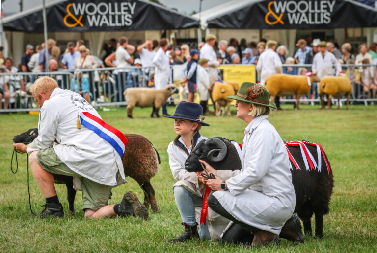 Record agri stands set for G&S