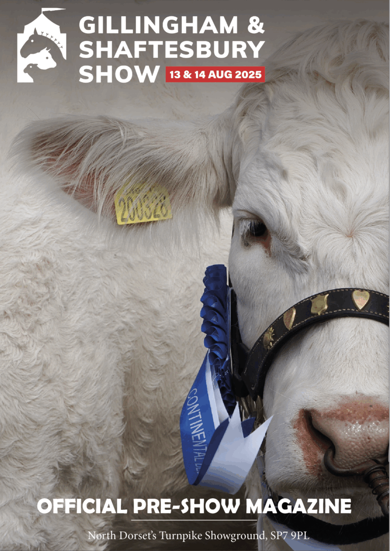 The Official Gillingham & Shaftesbury Pre-Show Magazine 2025 is here!
