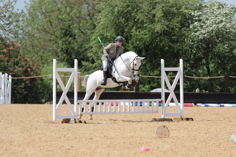 When dressage meets a speed round