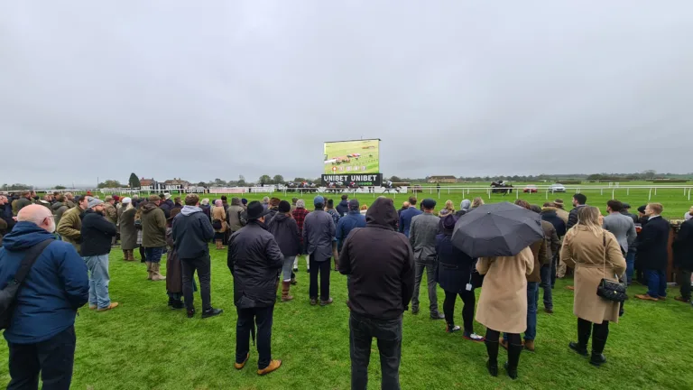 Beyond the Premier League: Why Alternative Betting Sites Are Gaining Attention Among Rural Sports Fans