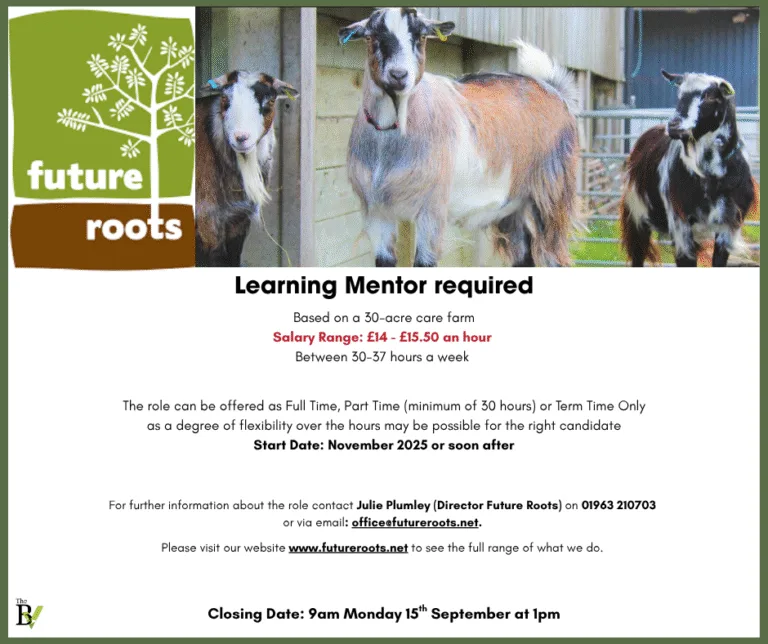Learning Mentor required | Future Roots