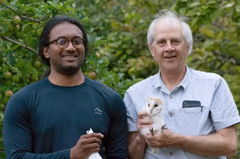 AI gives a hoot about Dorset’s baby barn owls