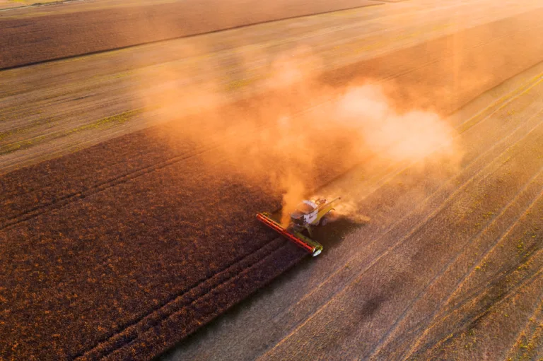 How Earth Observation Is Cultivating Modern Agriculture