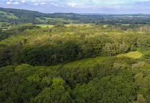 Take a wildlife walk at Bracketts Coppice nature reserve