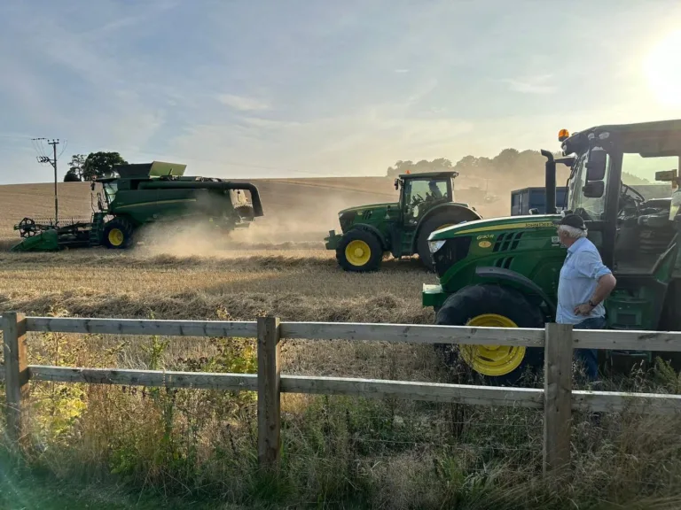 A smooth harvest soured by TB