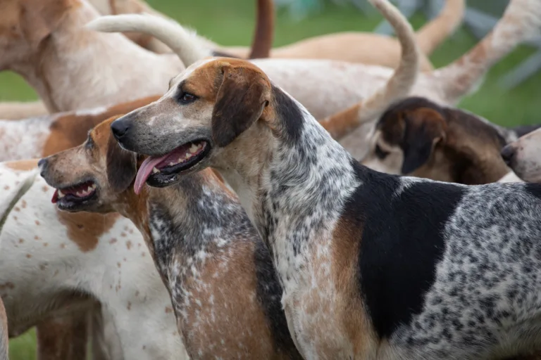 Spare us the hunting sermon