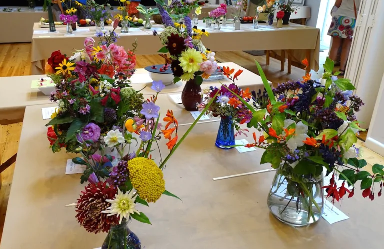 The Valley Gardening Club summer show