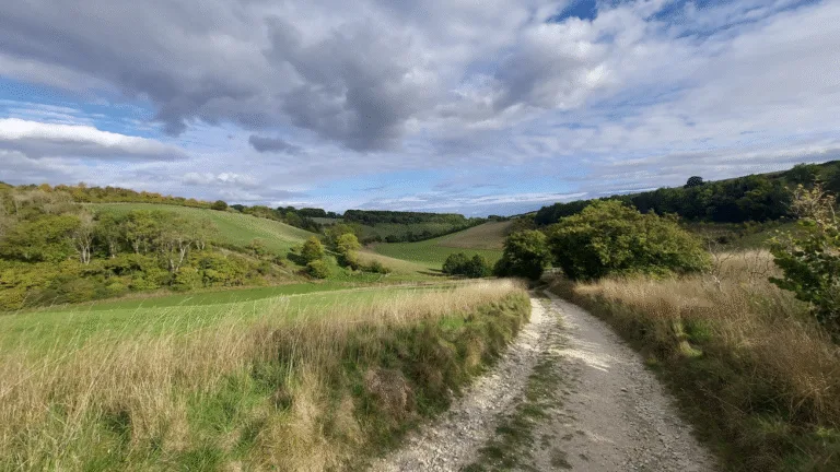 Win Green to Tollard Royal … and back again | 6.3 miles