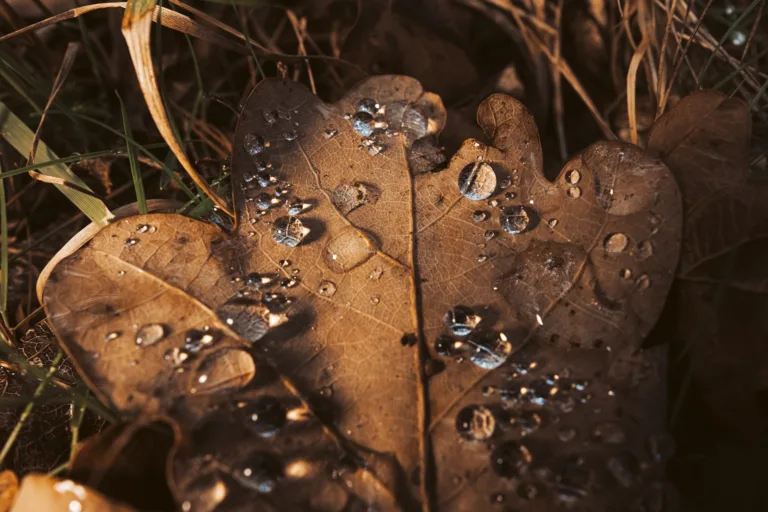 October’s issue – read all about it …