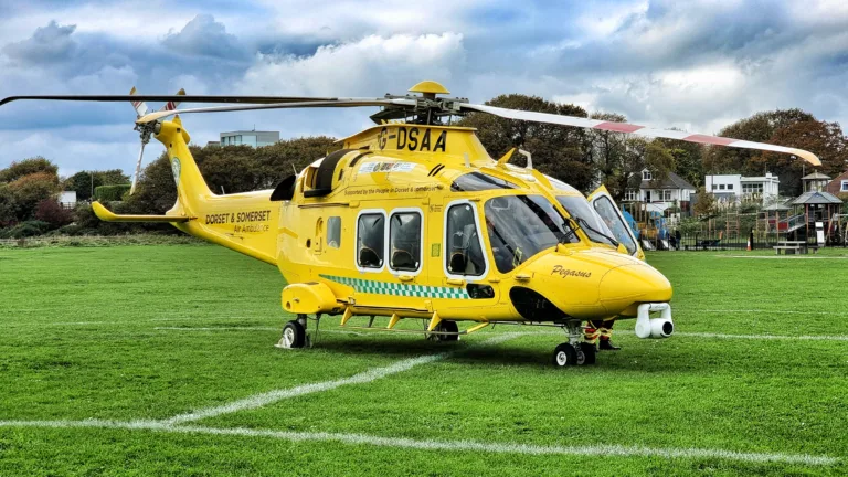 Does DSAA really need your £1 million?