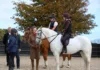 Princess Royal visits Dorset riding centre championing young people