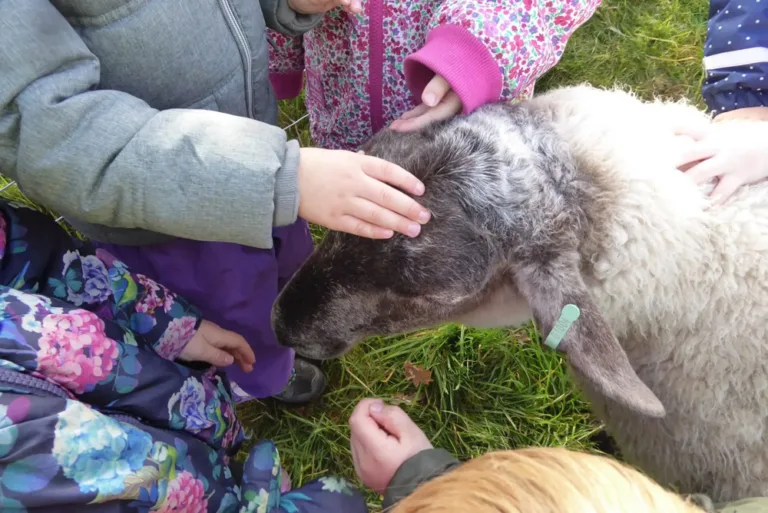 Dorset has real farm-to-(school)plate potential