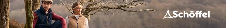 spot_img