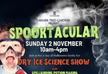 Halloween Spooktacular returns to Larmer Tree