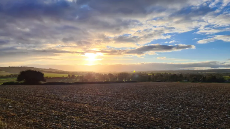 Reconnecting with food, farming, and the land