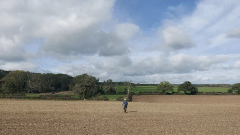 Rectangle walk from Tarrant Gunville