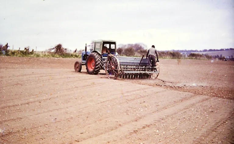 Crops thriving, cows content … questions ahead