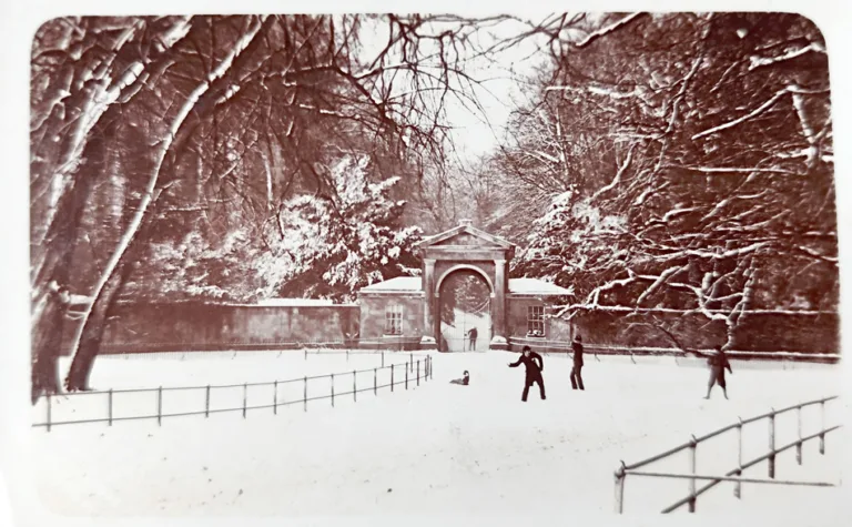 Christmas snow