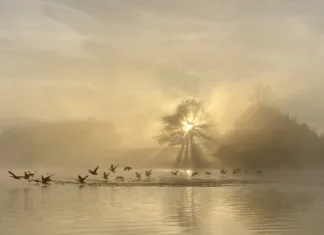 December’s BV – and a formal apology from the BV Team.