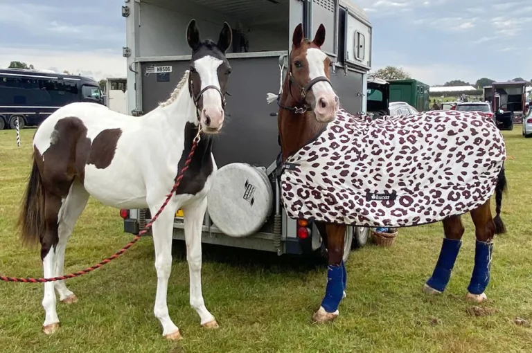 Lessons from a yearling (pt2)