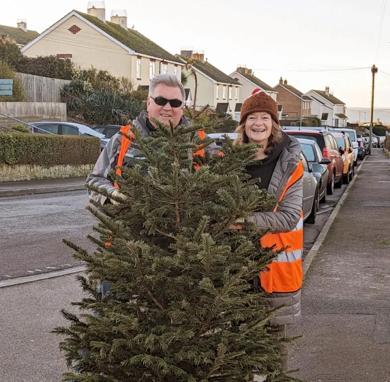 Christmas tree collections raise more than £53,000 for Dorset charities