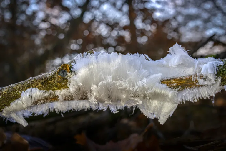 When frost turns to silk