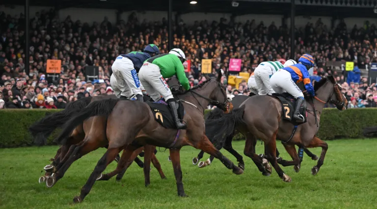 Winter highlights and spring horizons at Wincanton Racecourse