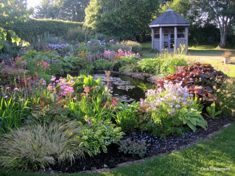 Gardens Open season is underway this month