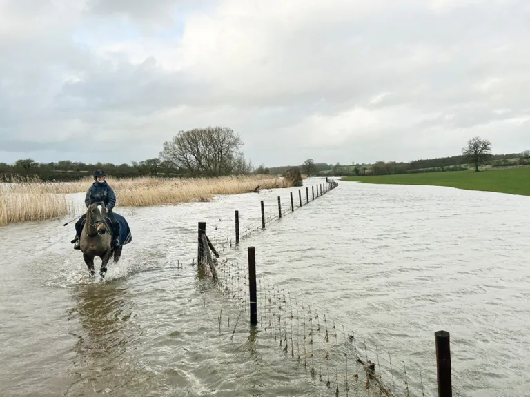 Jam-packed January in the saddle