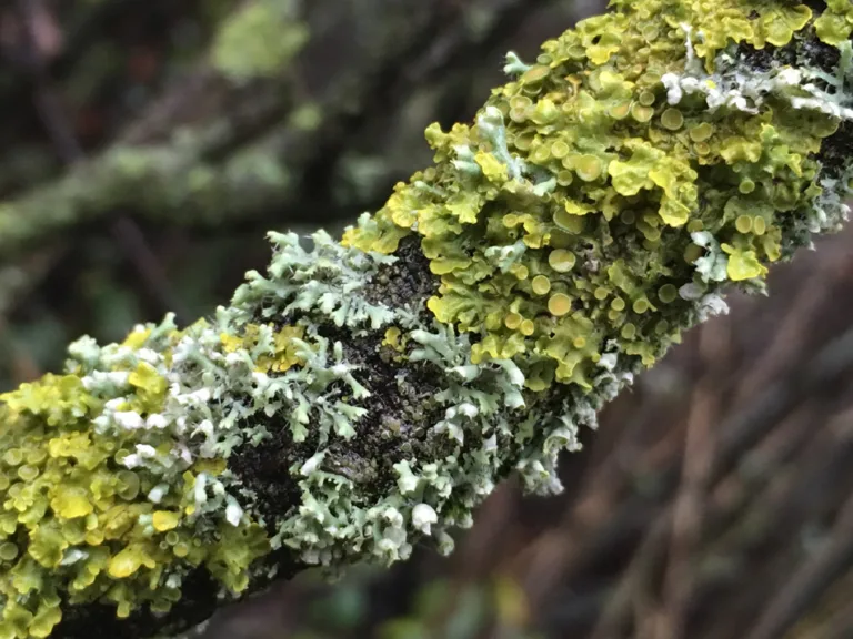 Dorset’s winter colours