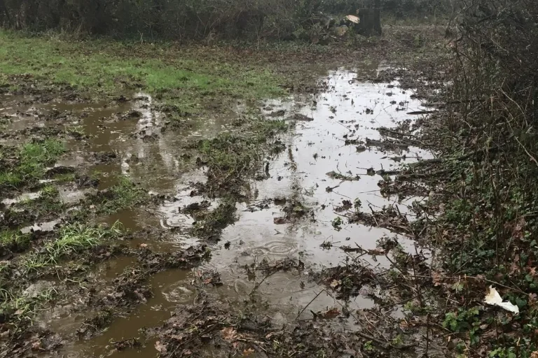 Dorset farmer guilty, and repeatedly fails to comply with slurry notice