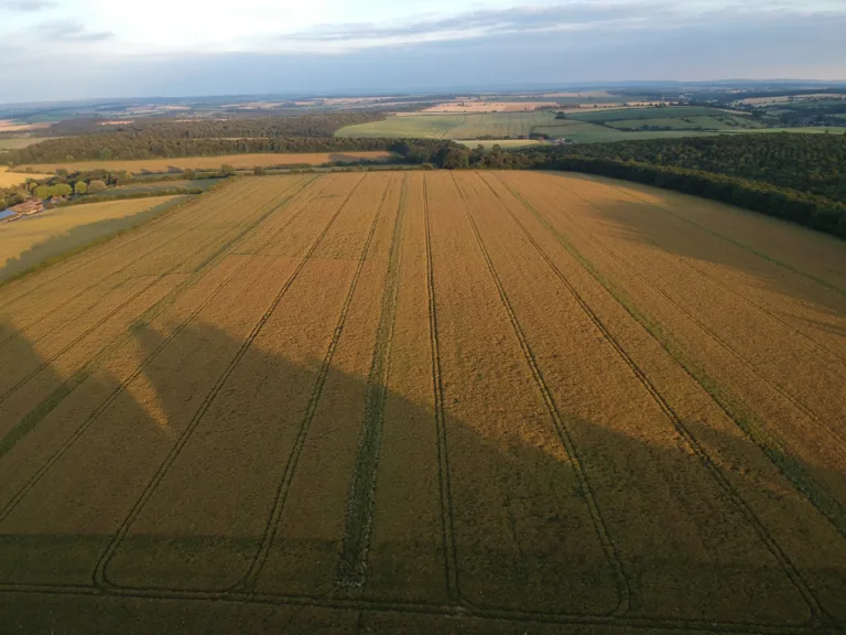 Roundup and the road ahead
