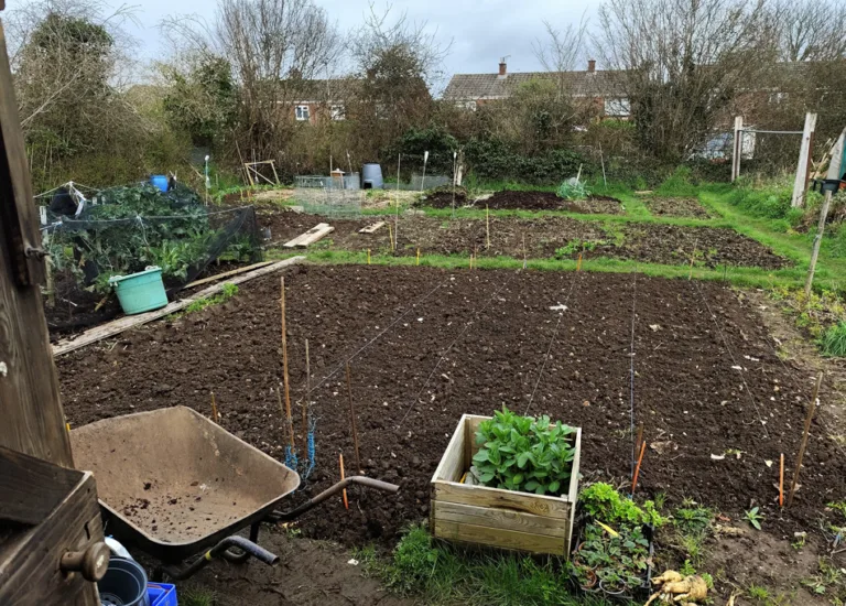 On the March allotment