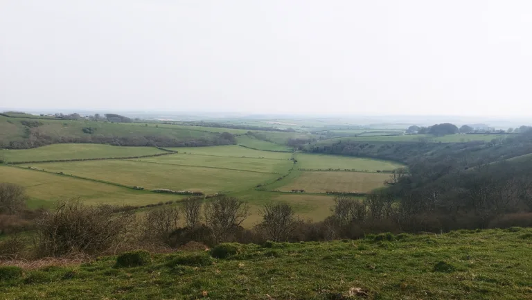 The best walk from DWT Lyscombe | 5.5 miles