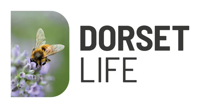 The BV becomes Dorset Life – a new chapter begins