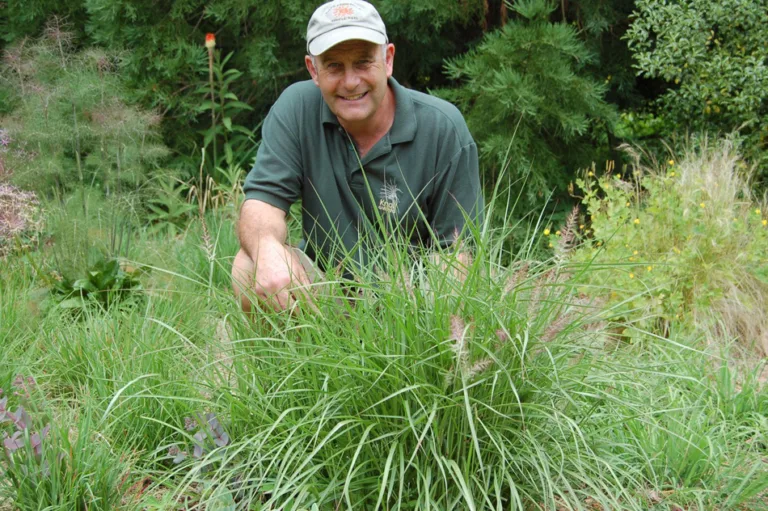 Knoll Gardens charity puts wildlife at the centre